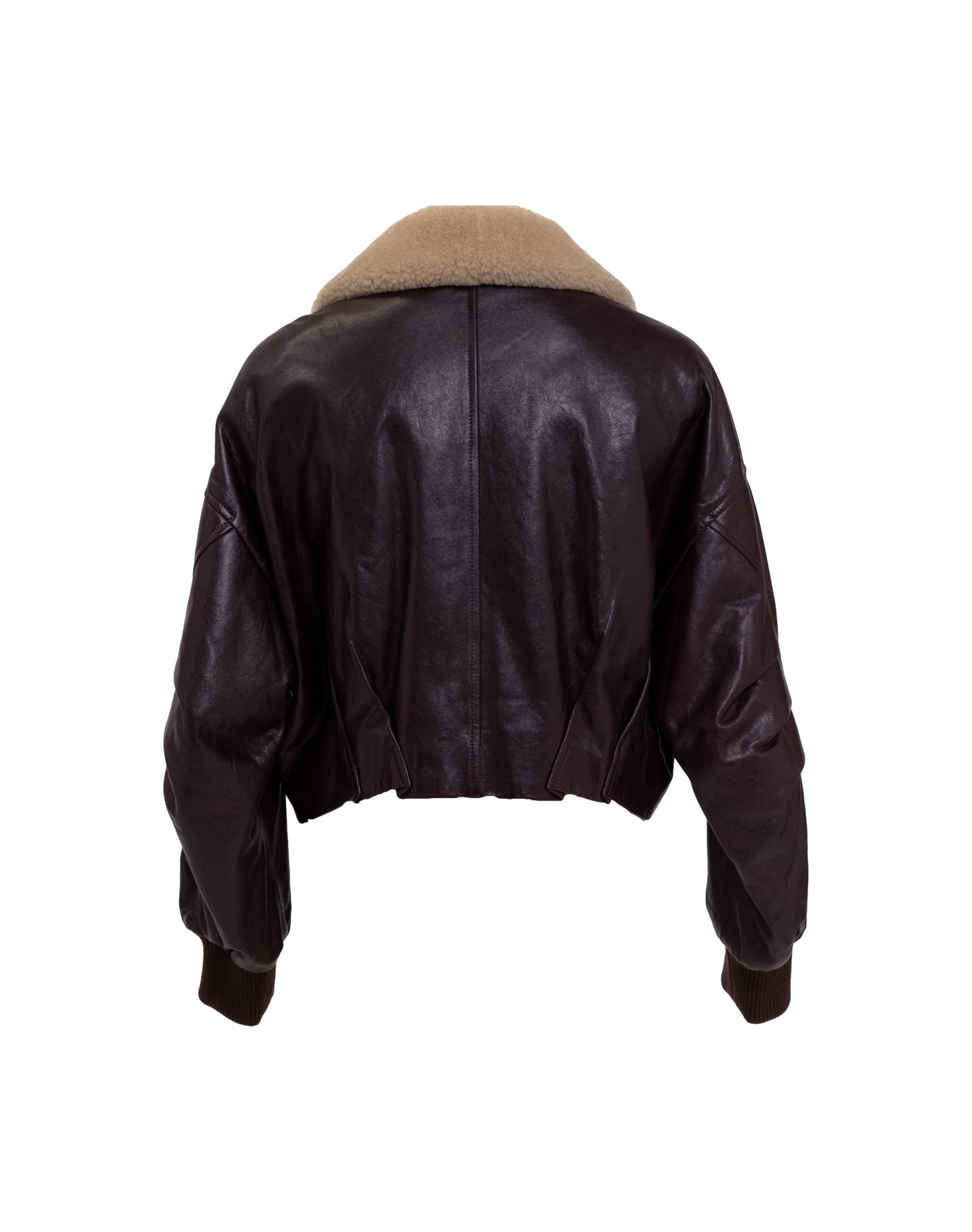 Aviator Leather Jacket