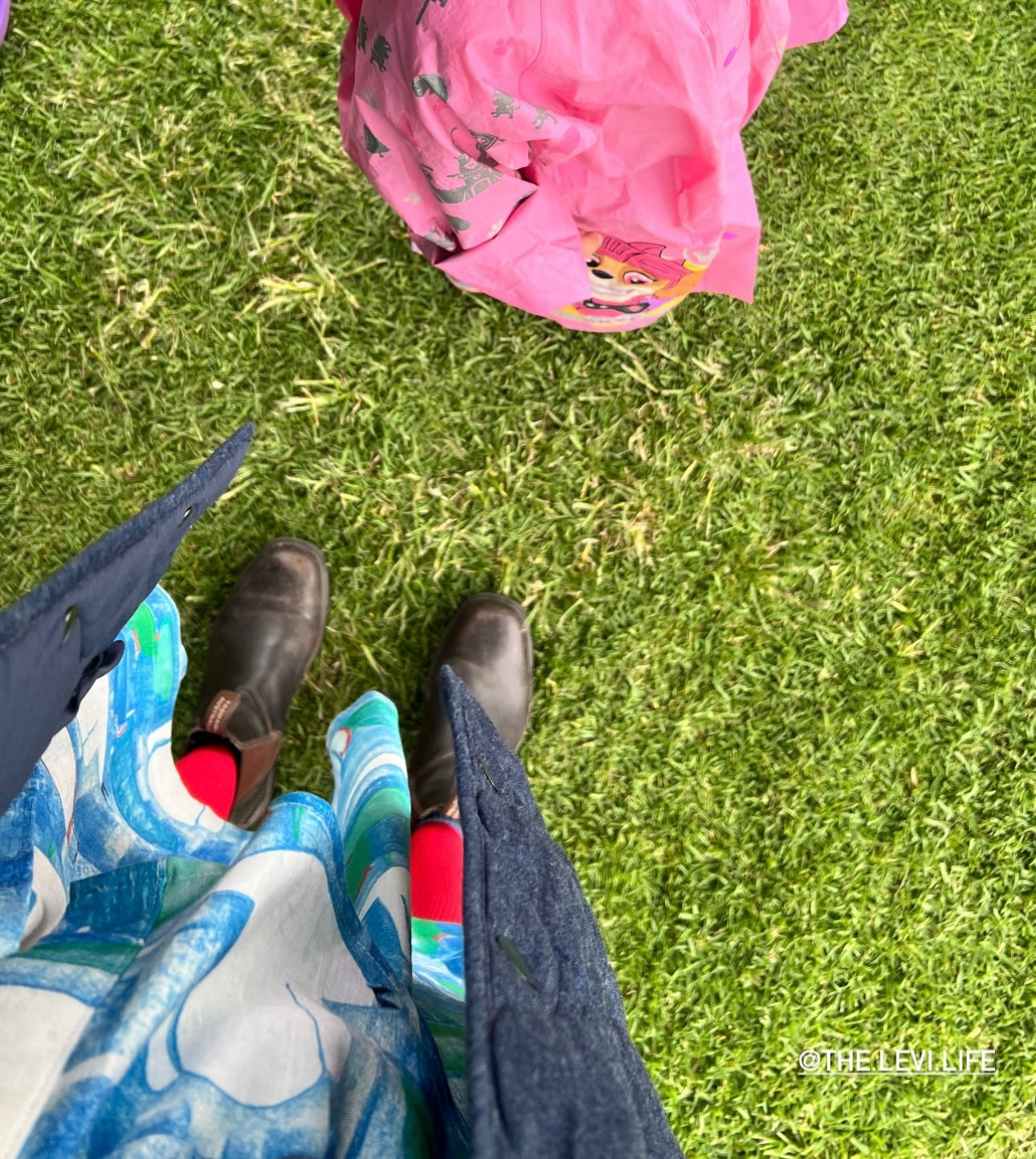 Swan Jelly Summer Dress