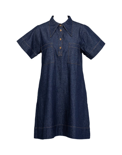 Strawberry Fields Dress, Denim