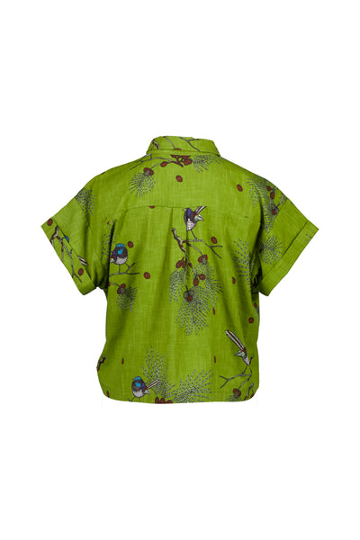 Laughing Shirt, Bay Leaf Wren