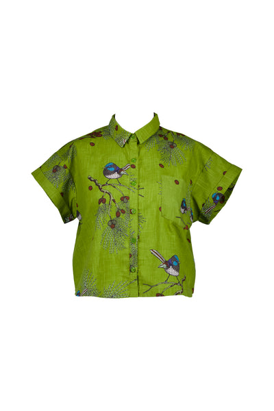 Laughing Shirt, Bay Leaf Wren